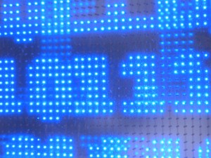 Blue 011001 (Photo by Keri Douglas, copyright protected)