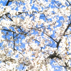 Poetry: Eastern Romances & Stories by W.A.&nbsp;Clouston