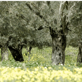 Be Beautiful with&nbsp;A.S.APOTHECARY