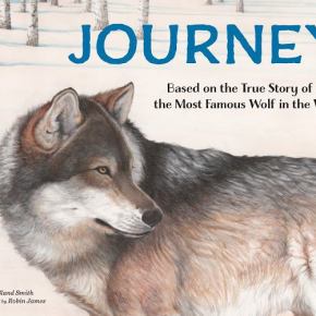 7 Unique Holiday Gift&nbsp;Recommendations