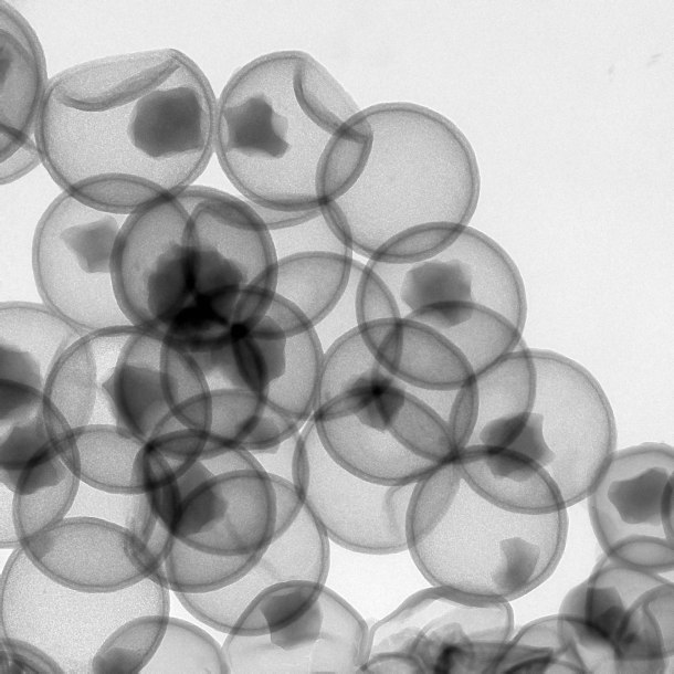 Incredible Inner Space