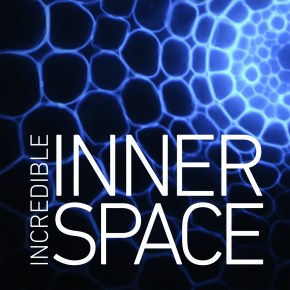 The ART in&nbsp;SCIENCE