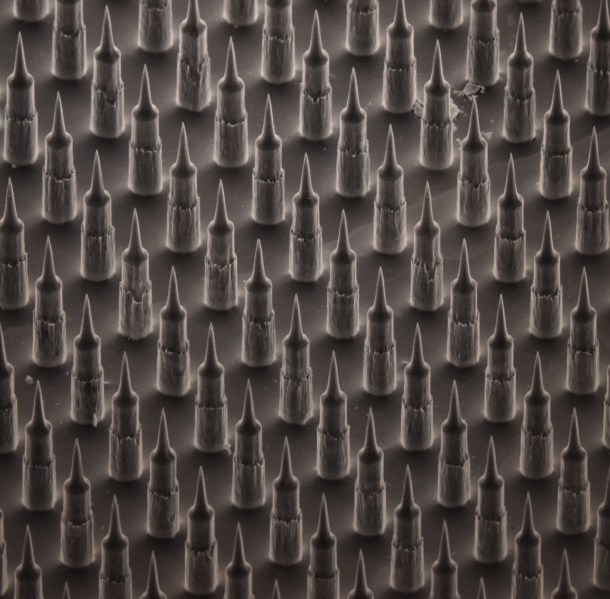 Incredible Inner Space